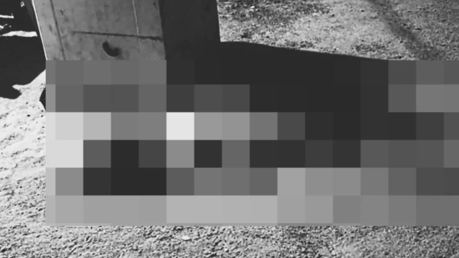 Barreirão: mulher de 60 anos é morta a tiros dentro de casa