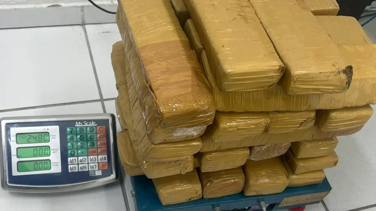 Carga de 24 kg de skunk vinda de São Paulo é interceptada