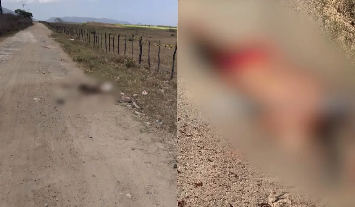 Caucaia: corpo é encontrado a pedradas em estrada isolada
