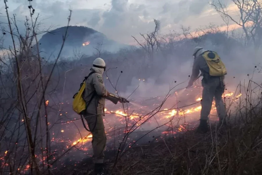 Ceará registra alta de 242 incêndios em vegetação