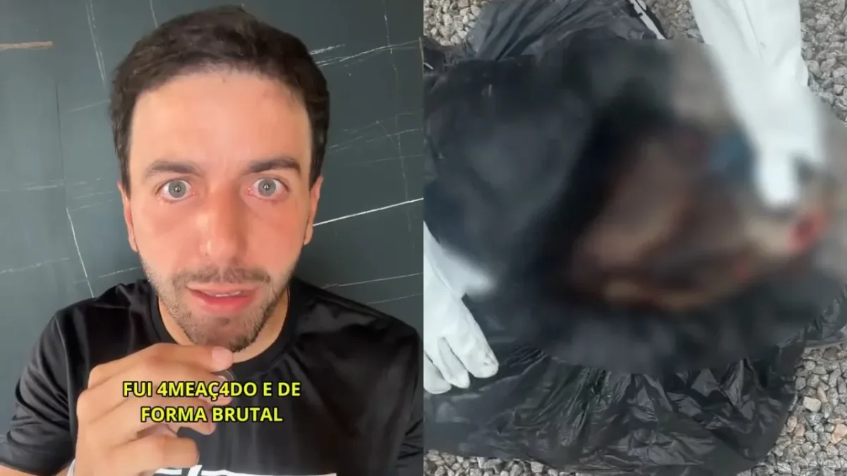 Célio Studart recebe cabeça de boi e registra nova ameaça