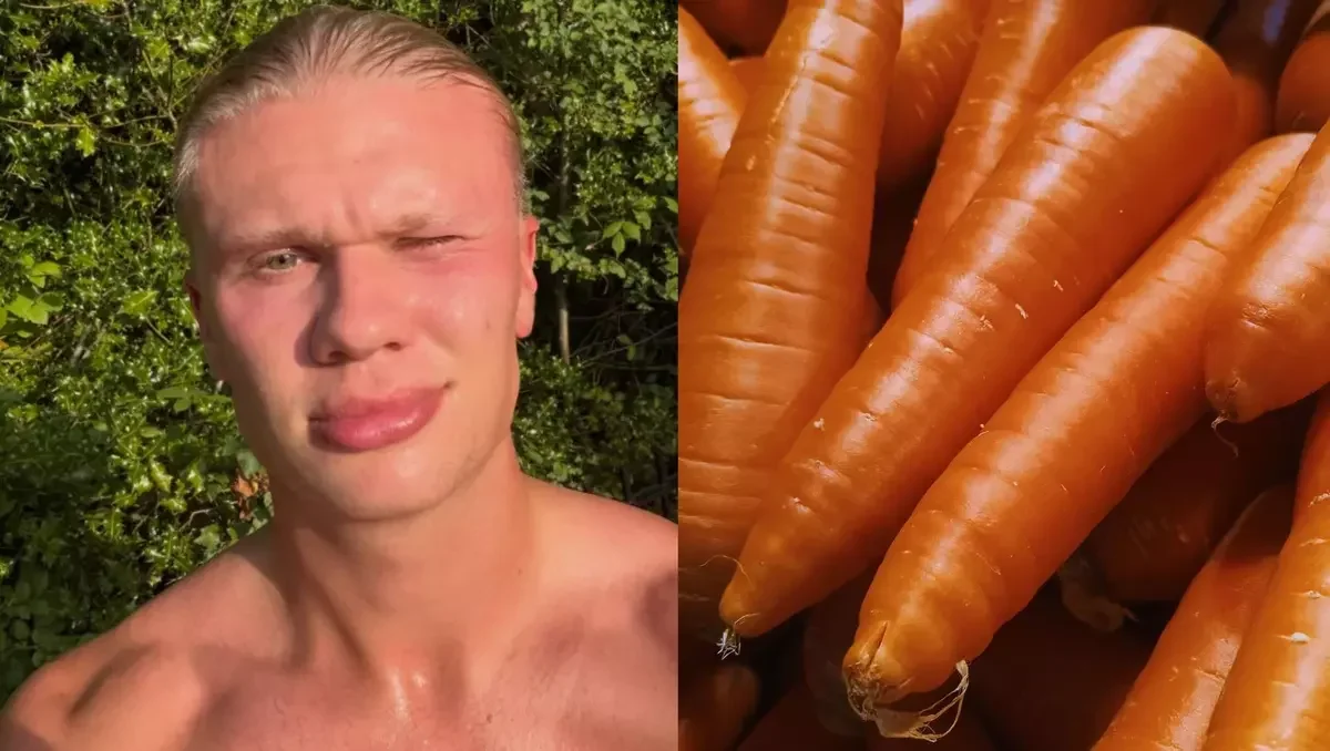 Erling Haaland: vendas de cenoura sobem 25% na Noruega