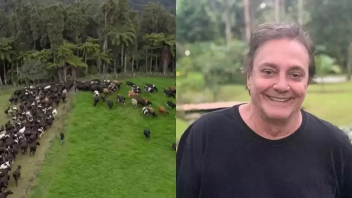 Fábio Jr. — fazenda em Cesário Lange avaliada em R$ 12 milhões