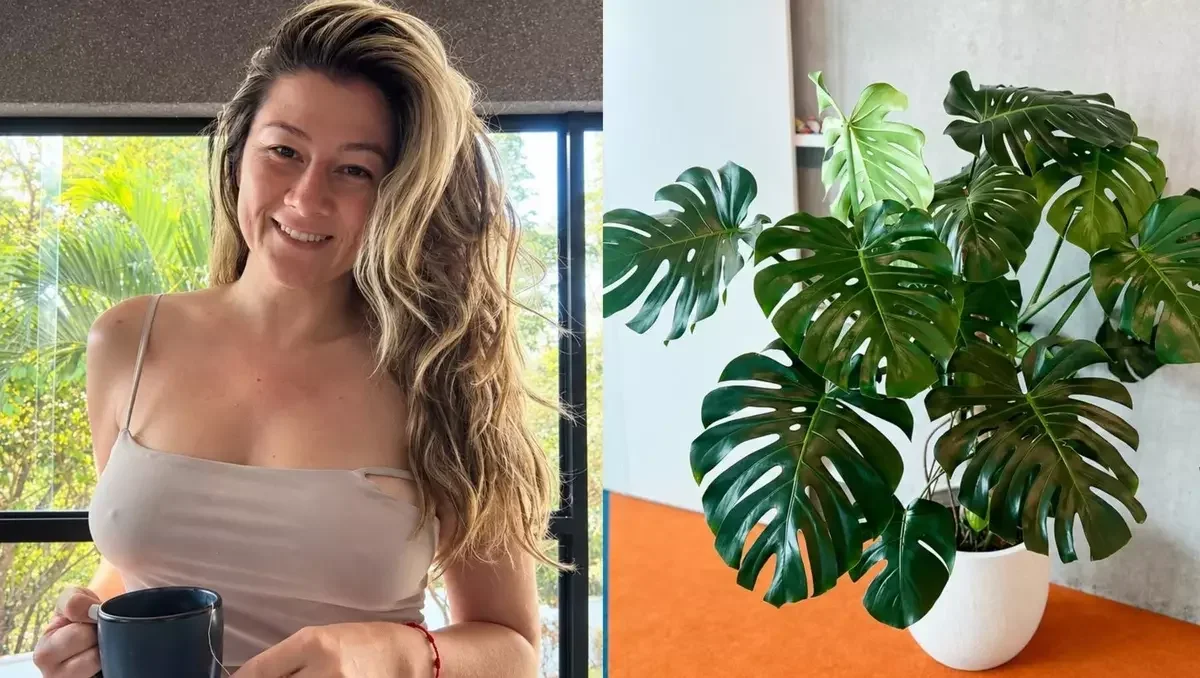 Influenciadora rega planta por dois anos e descobre plástico