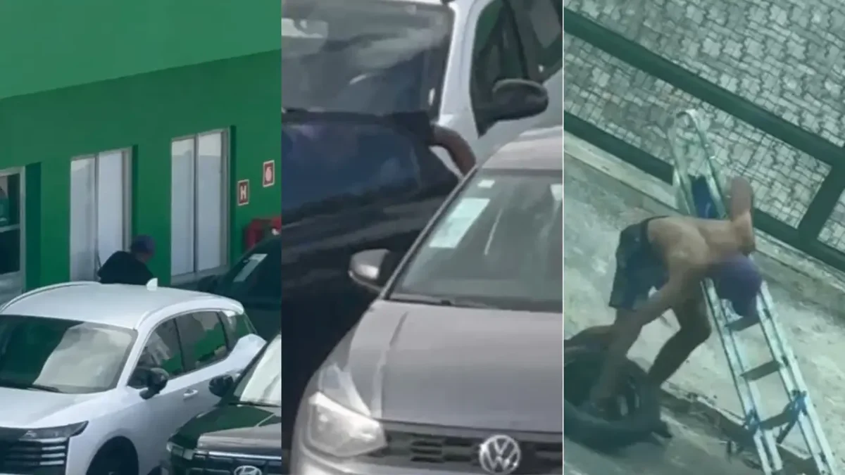 Locadora na Avenida Santos Dumont: homem foge com escada e estepe