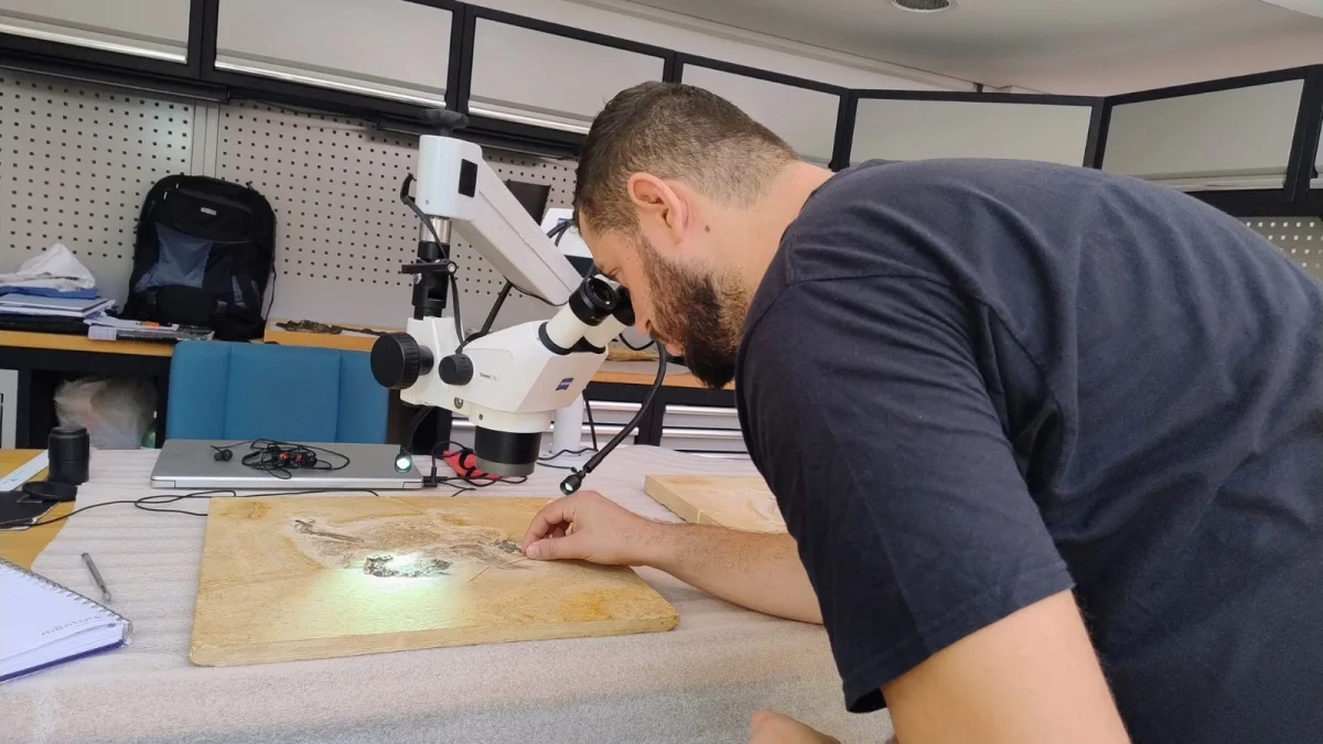 Museu de Paleontologia Plácido Cidade Nuvens repatriou 1.281 fósseis