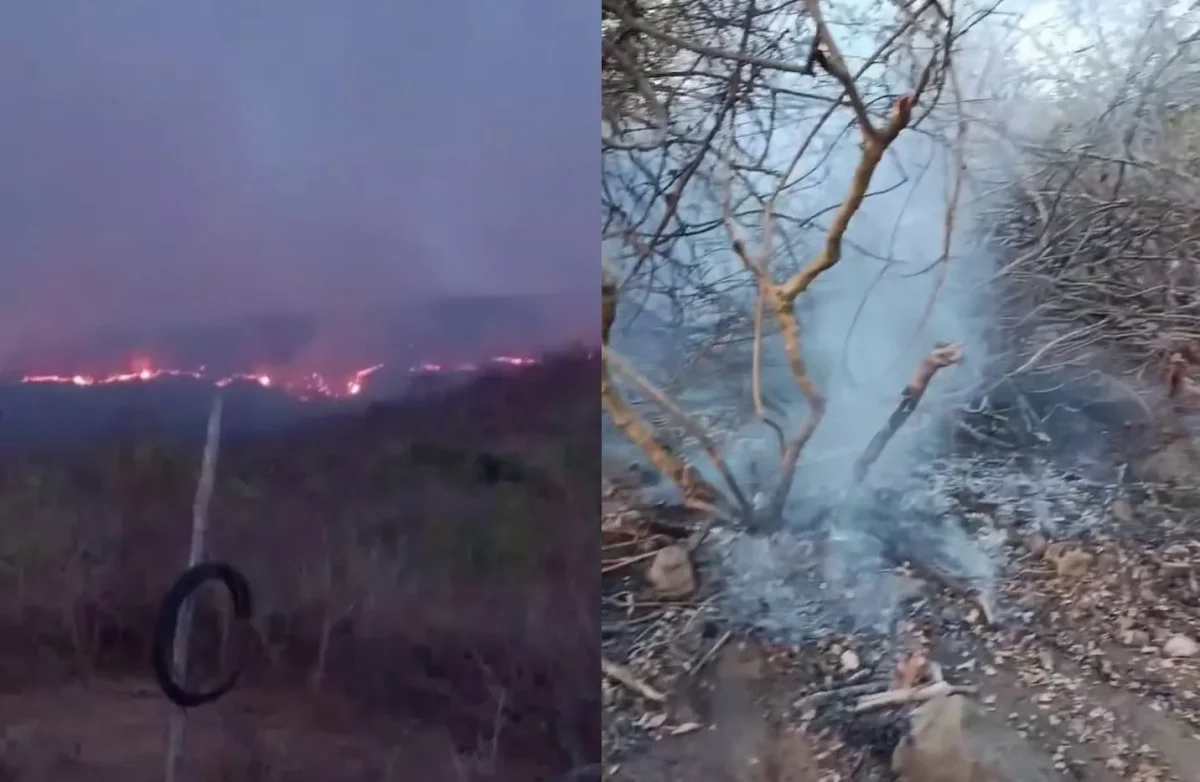 Pacujá: incêndio já dura 5 dias e pressiona comunidades
