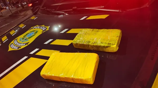 PRF apreende 2 kg de cocaína em ônibus que saiu de Fortaleza para Recife